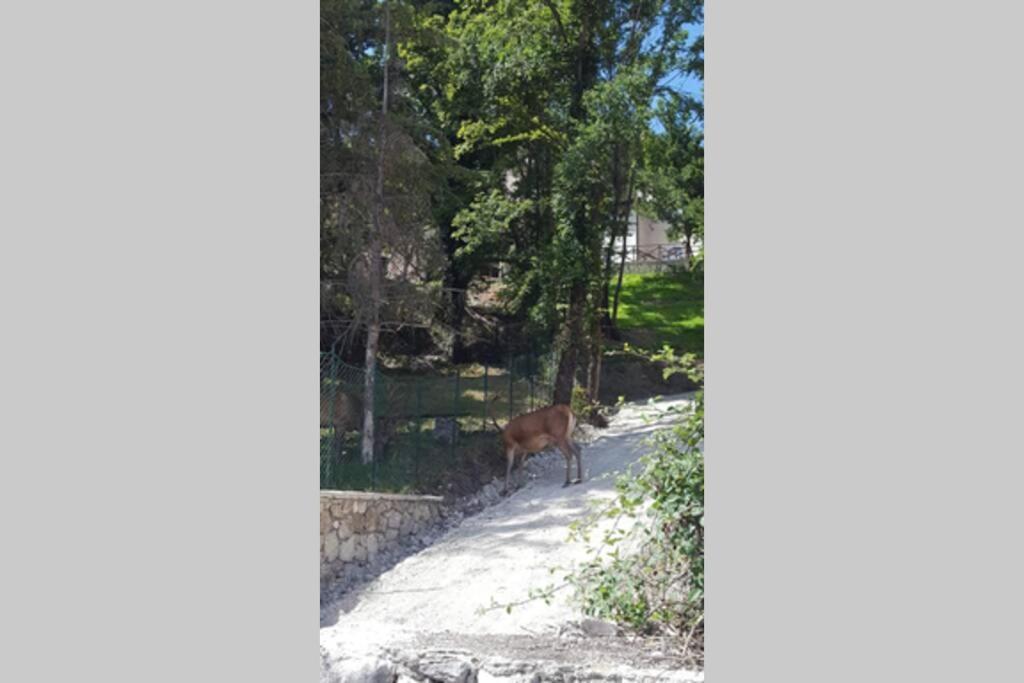 Casa Vacanze Al Castello วิลเลตตา บาร์เรอา ภายนอก รูปภาพ