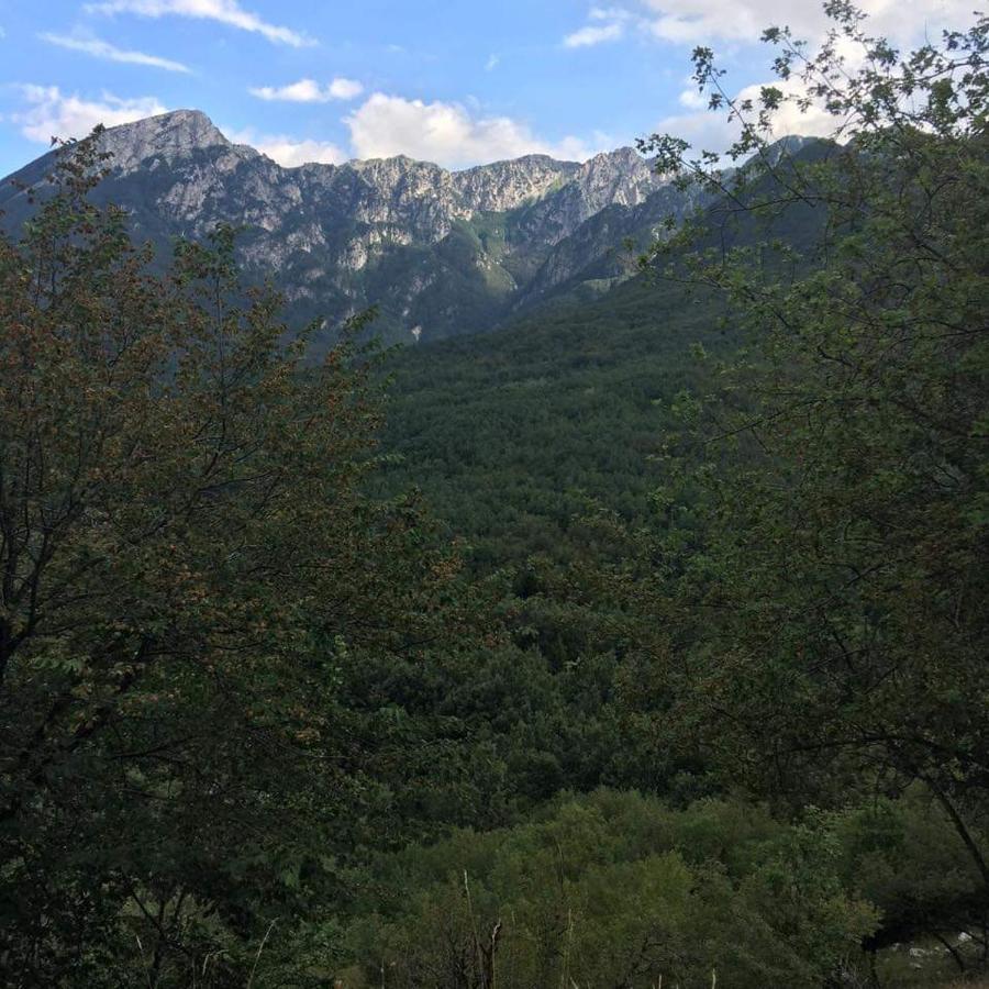 Casa Vacanze Al Castello วิลเลตตา บาร์เรอา ภายนอก รูปภาพ