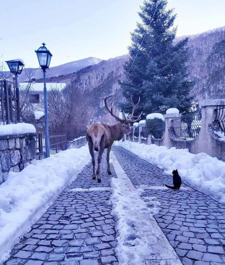 Casa Vacanze Al Castello วิลเลตตา บาร์เรอา ภายนอก รูปภาพ