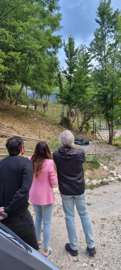 Casa Vacanze Al Castello วิลเลตตา บาร์เรอา ภายนอก รูปภาพ